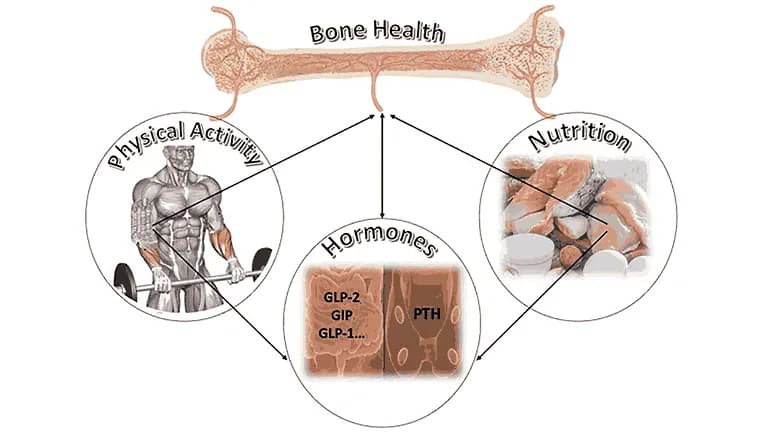 Role of Play and Physical Activity in Bone Strength for Kids