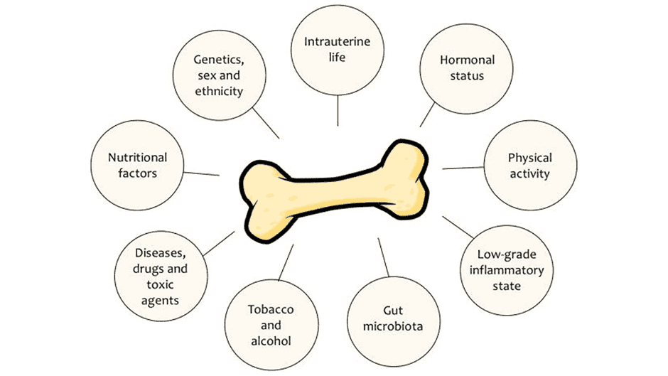 The Role of Nutrition in Healthy Bone Development for Kids