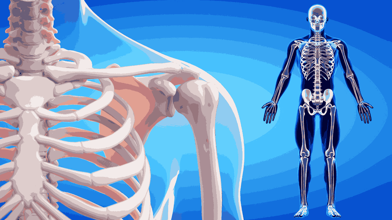 Building Strong Bones in Growing Children
