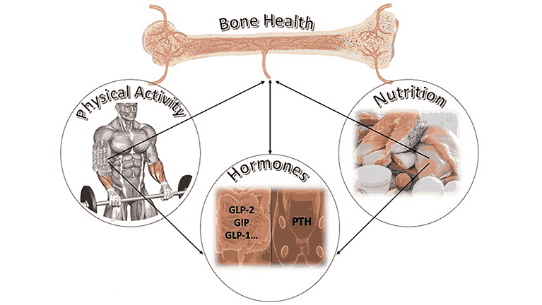 Role of Play and Physical Activity in Bone Strength for Kids