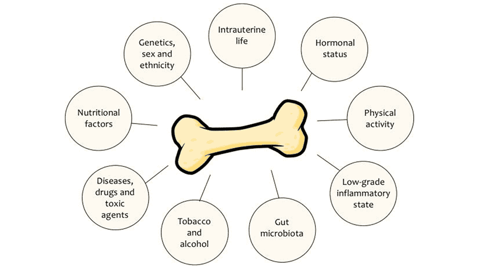 The Role of Nutrition in Healthy Bone Development for Kids